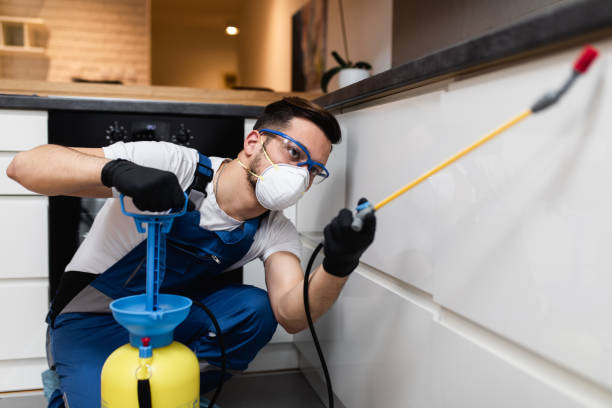 Best Wasp Removal Services  in Moorefield, WV