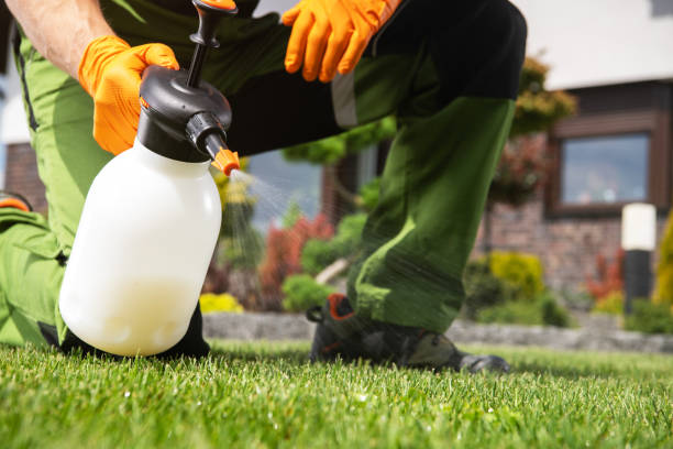 Professional Pest Control in Moorefield, WV