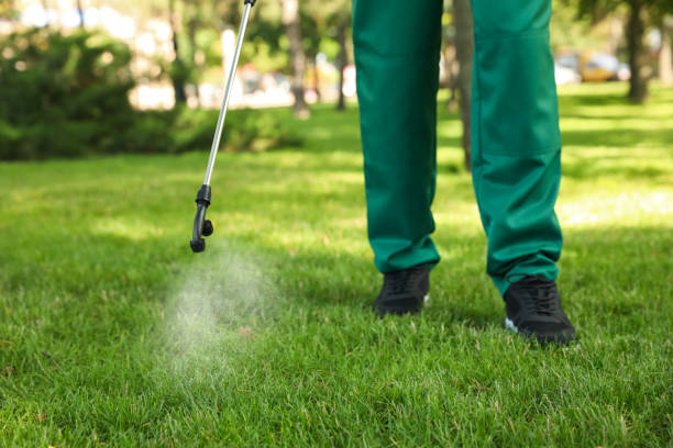 Best Ant Control Services  in Moorefield, WV