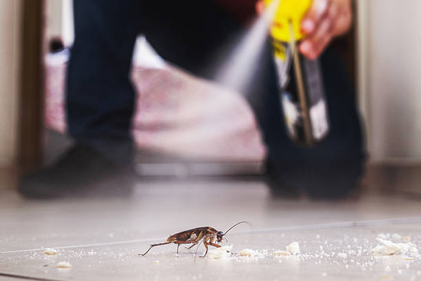 Best Emergency Pest Control  in Moorefield, WV